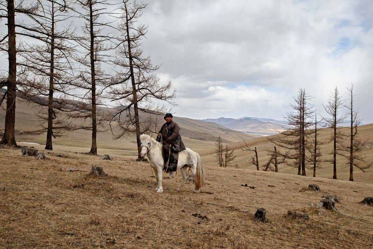 Stunning photos show nomadic life of Mongolian goat herders