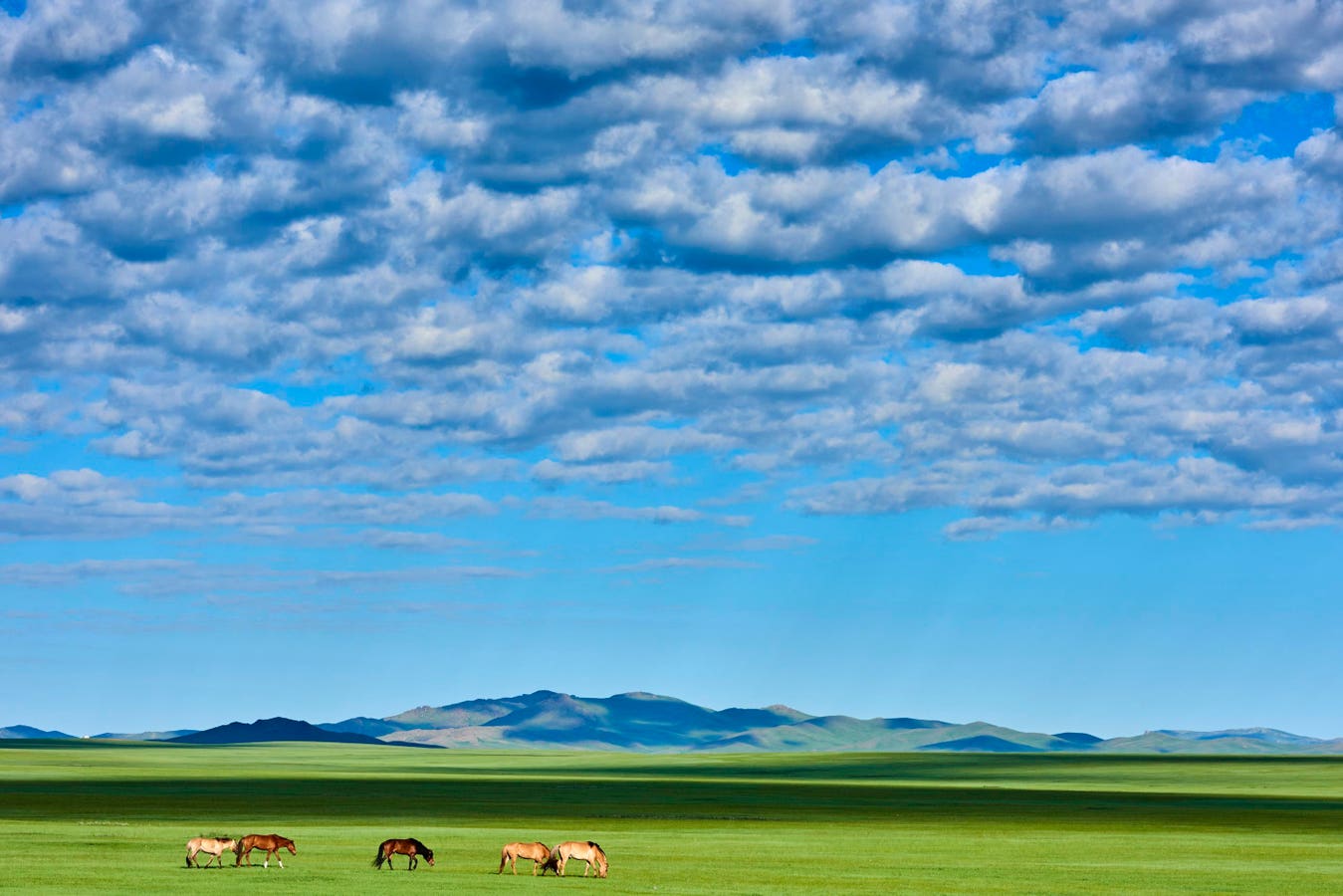 Sustainability On The Steppes: Mongolia&rsquo;s Path To Green Finance